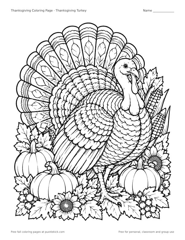 Preview of the thanksgiving coloring pages