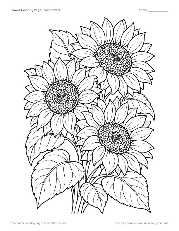 Flowers coloring pages preview