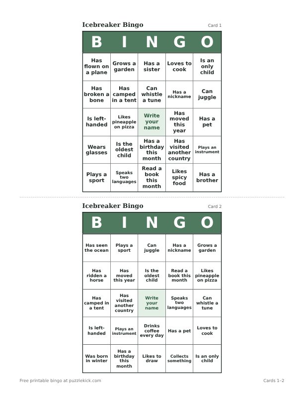 Icebreaker Bingo printable PDF preview with two cards