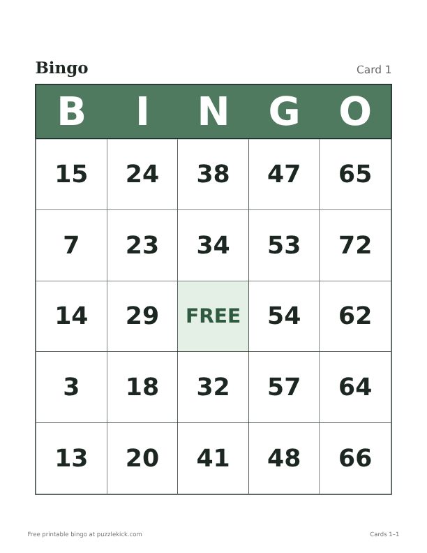 Sample large print bingo card