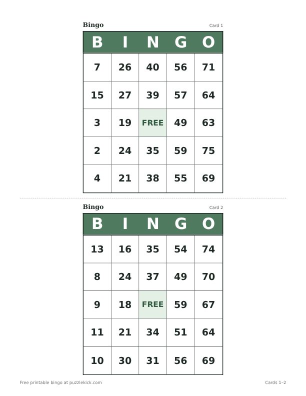 Printable number bingo cards PDF preview