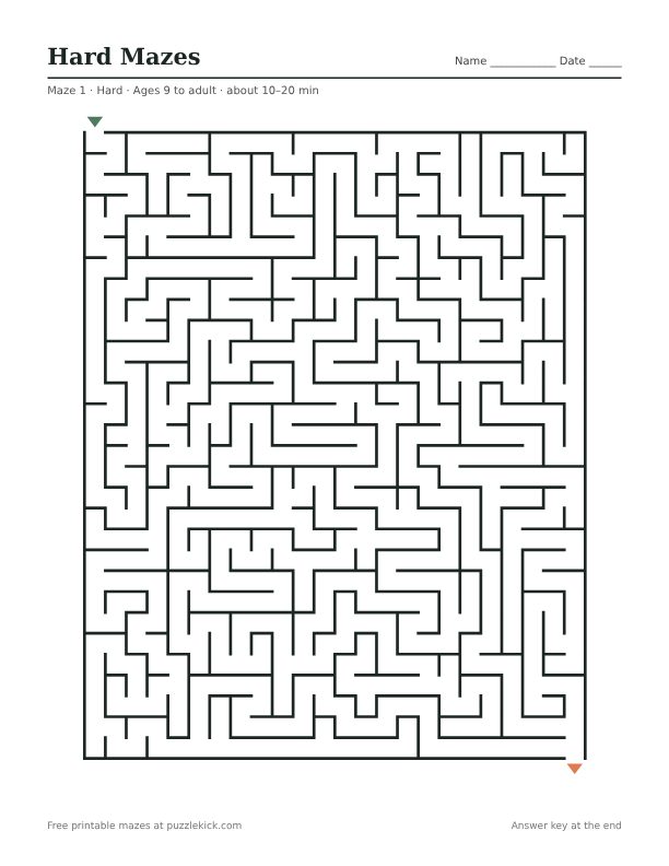 Preview of the Hard mazes · 5 mazes PDF