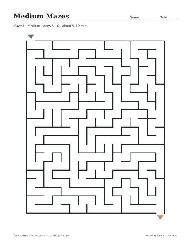 Preview of the Medium mazes · 5 mazes PDF